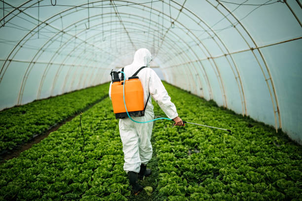 Best Affordable Pest Control Services  in Simsbury Center, CT