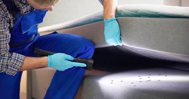 Best Pest Control Near Me  in Simsbury Center, CT