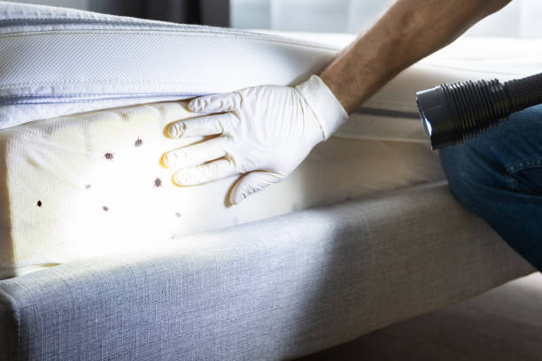 Best Pest Control Near Me in Simsbury Center, CT